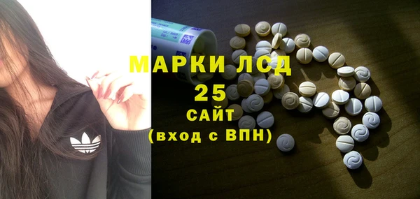 PSILOCYBIN Вязьма