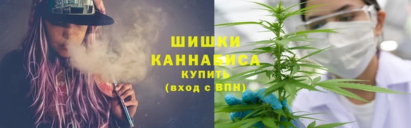 PSILOCYBIN Вязьма