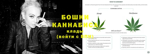 гидра Вязники