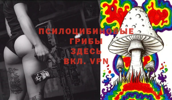 PSILOCYBIN Вязьма