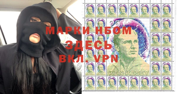 PSILOCYBIN Вязьма