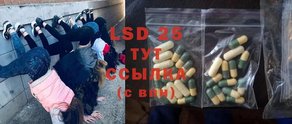 PSILOCYBIN Вязьма
