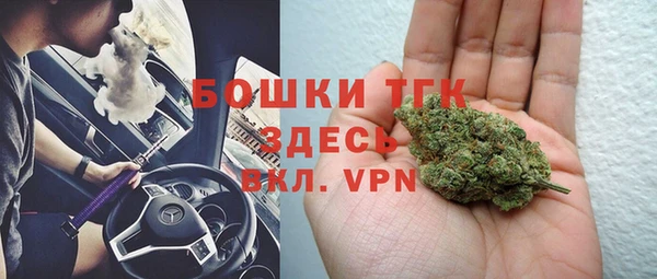 PSILOCYBIN Вязьма