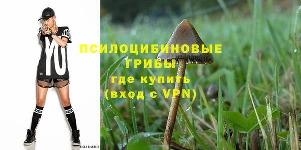 гидра Вязники