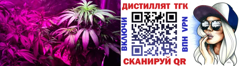 купить  сайты  Елец  ТГК Wax 