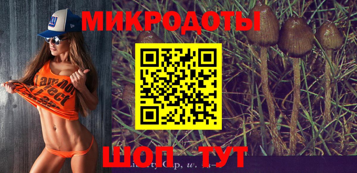 Елец  Псилоцибиновые грибы Cubensis  Вход с VPN 