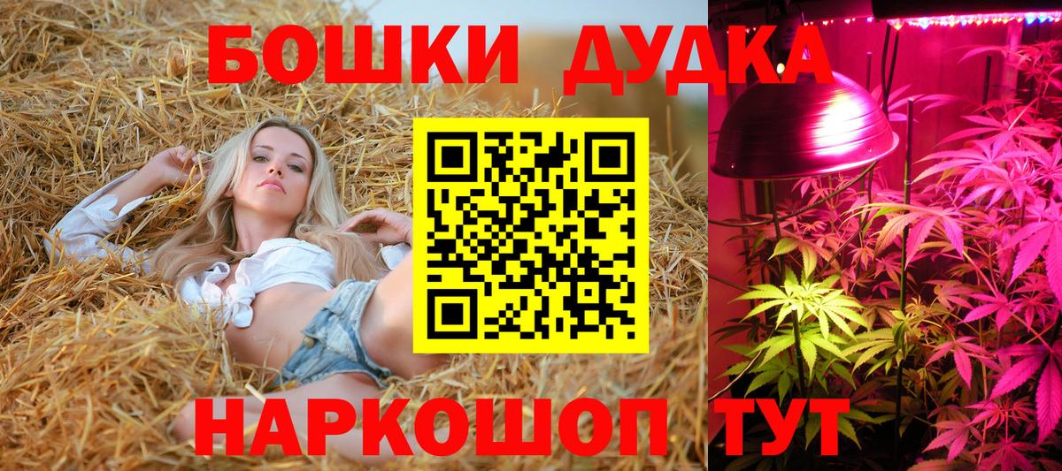 Бошки Шишки семена Елец